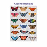 Butterfly A4 Foam Sticker
