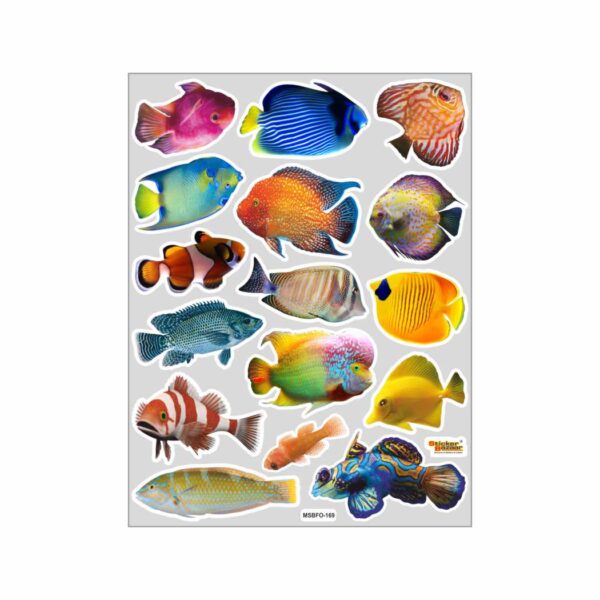 Fish A4 Foam Sticker