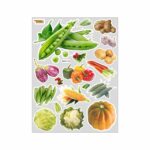 Vegetable A4 Foam Sticker