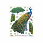 Peacock Zag-Mag Sticker