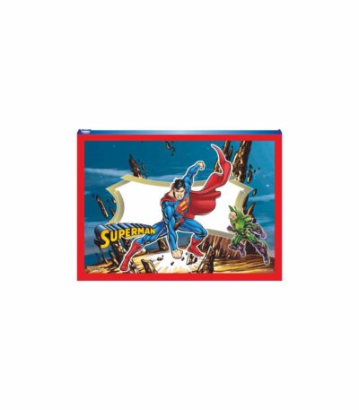 Superman A4 Plastic Zipper Pouch Regular