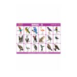 M-Stick Educational Chart 1011 Birds-5