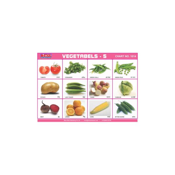 M-Stick Educational Chart 1014 Vegetabels-5