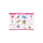 M-Stick Educational Chart 1019 Cell Biology