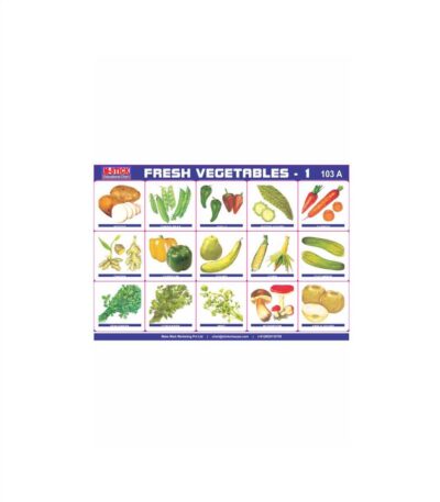 M-Stick Educational Chart 103A Fresh Vegetables-1