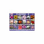 M-Stick Educational Chart 105A Flowers-2