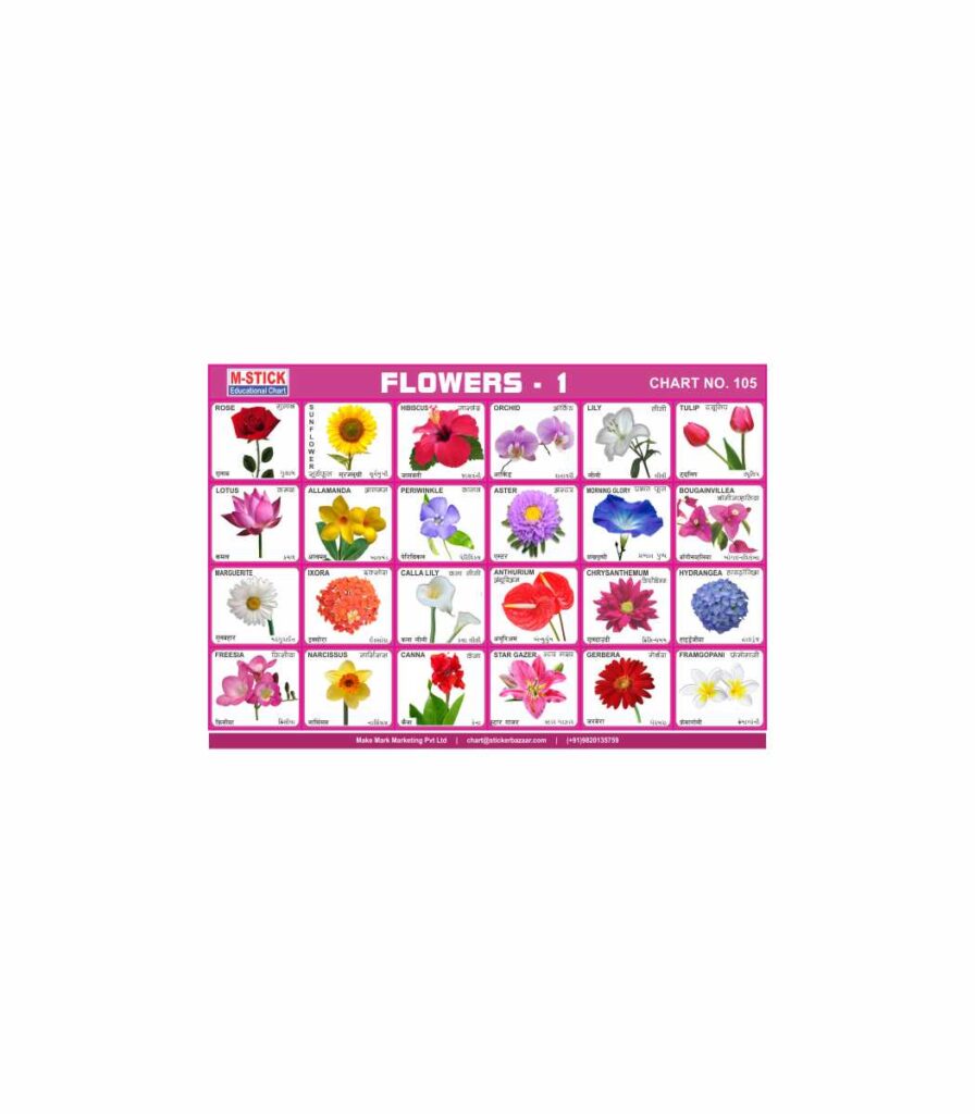 M-Stick Educational Chart 105 Flowers-1