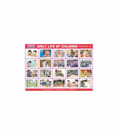M-Stick Educational Chart 114 Daily Life of Children