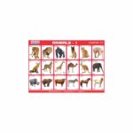 M-Stick Educational Chart 117 Animals-1