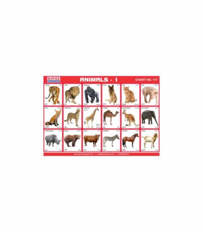 M-Stick Educational Chart 117 Animals-1