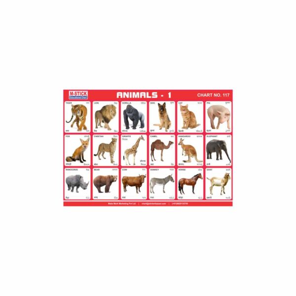 M-Stick Educational Chart 117 Animals-1