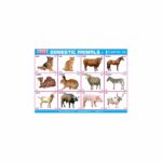 M-Stick Educational Chart 118 Domestic Animals-1