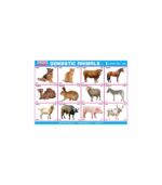 M-Stick Educational Chart 118 Domestic Animals-1