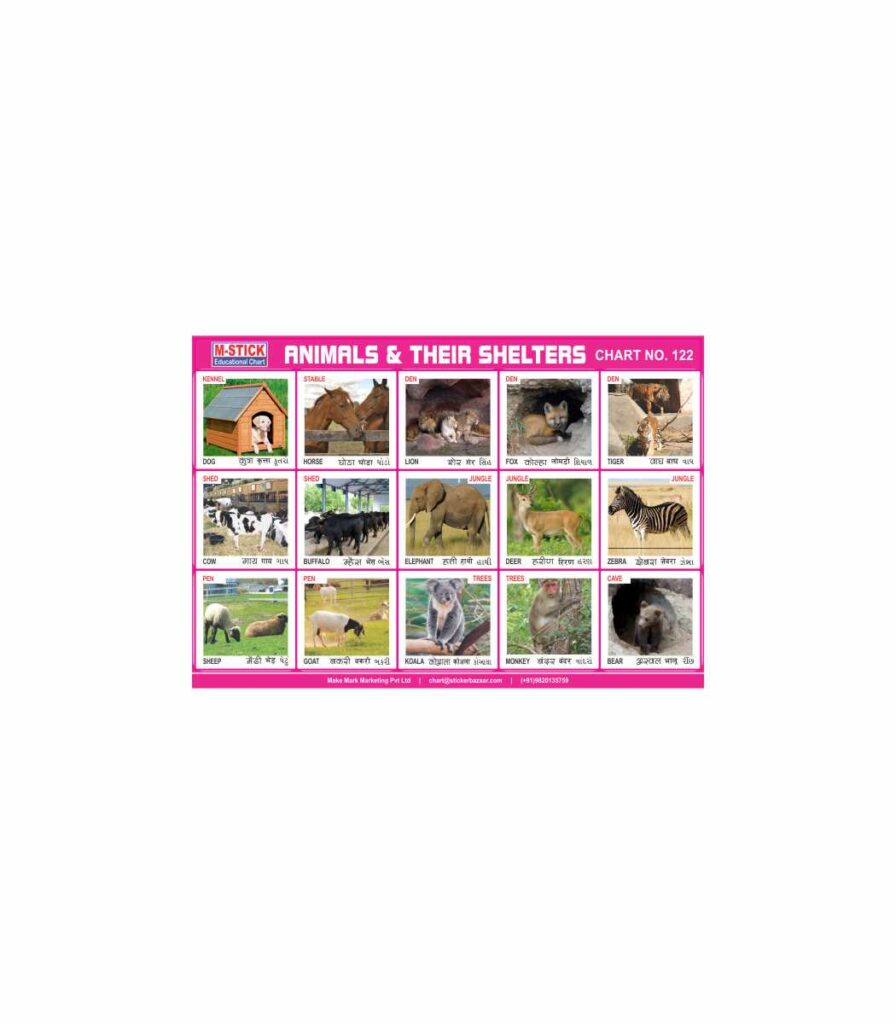 M-Stick Educational Chart 122 Animals & Their Shelters