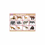 M-Stick Educational Chart 124 Wild Animals-1