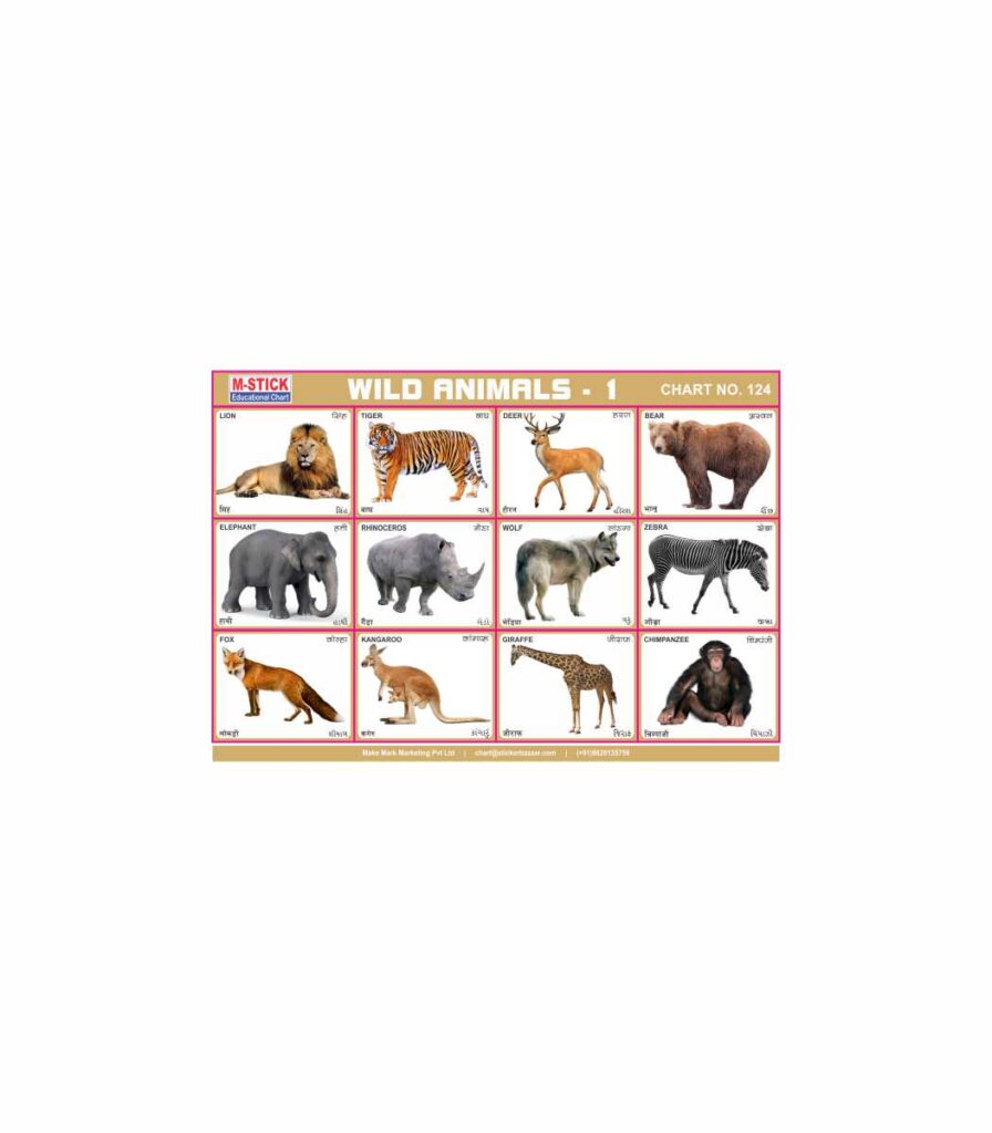 M-Stick Educational Chart 124 Wild Animals-1