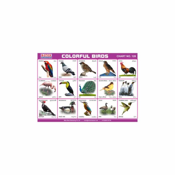 M-Stick Educational Chart 128 Colorful Birds