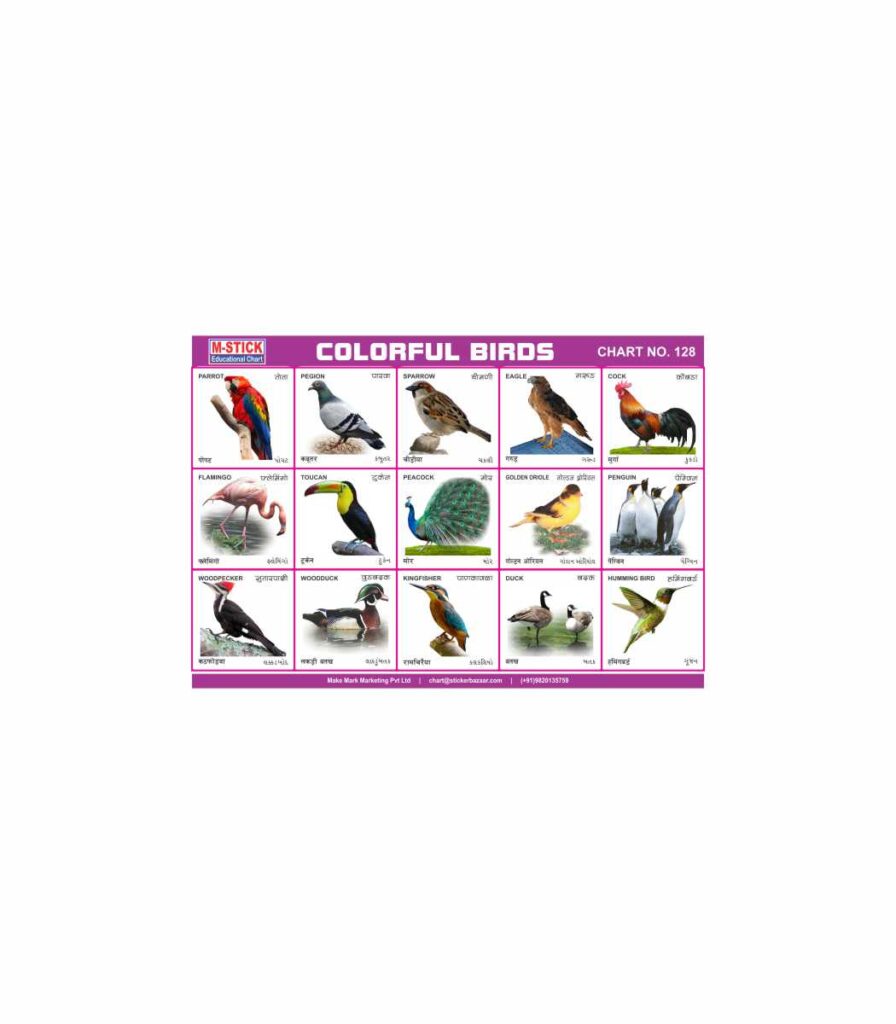 M-Stick Educational Chart 128 Colorful Birds