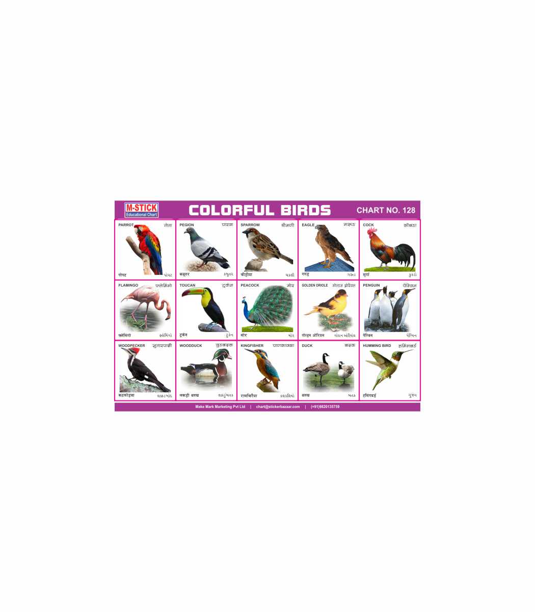 M-Stick Educational Chart 128 Colorful Birds