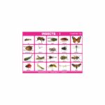 M-Stick Educational Chart 130 Insects-1