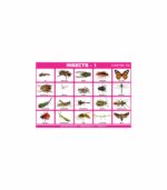 M-Stick Educational Chart 130 Insects-1