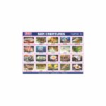 M-Stick Educational Chart 131 Sea Creatures