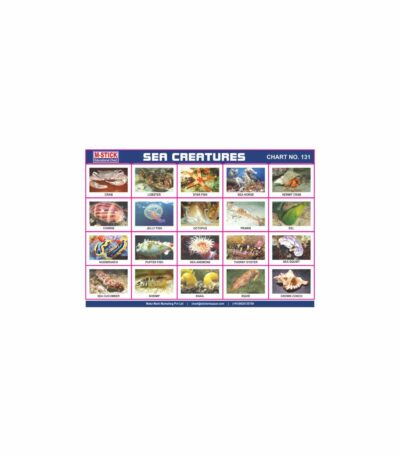 M-Stick Educational Chart 131 Sea Creatures