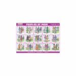 M-Stick Educational Chart 132 People of India