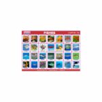 M-Stick Educational Chart 138 Fishes