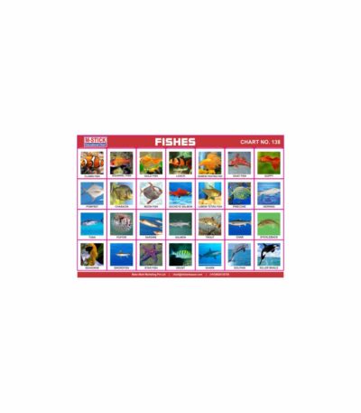 M-Stick Educational Chart 138 Fishes