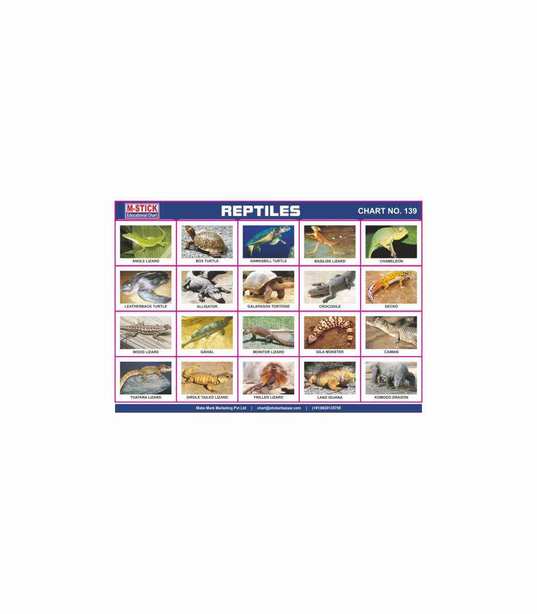 M-Stick Educational Chart 139 Reptiles
