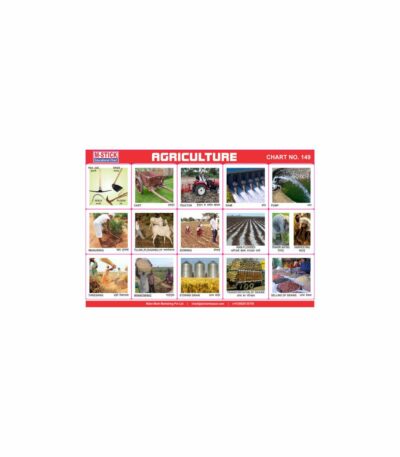M-Stick Educational Chart 149 Agriculture