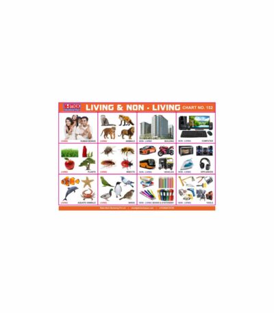 M-Stick Educational Chart 152 Living & Non-Living