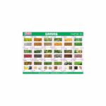 M-Stick Educational Chart 153 Grains