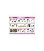 M-Stick Educational Chart 155 Plant Life