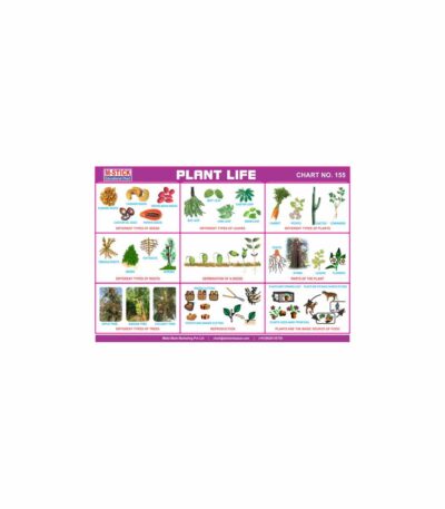 M-Stick Educational Chart 155 Plant Life