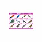 M-Stick Educational Chart 164 Birds-2