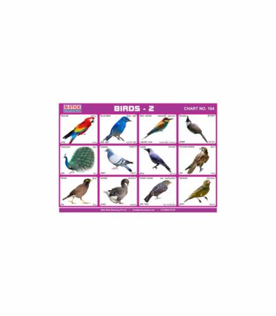 M-Stick Educational Chart 164 Birds-2