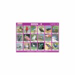M-Stick Educational Chart 165 Birds-3