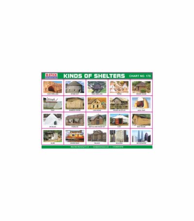 M-Stick Educational Chart 178 Kinds of Shelters