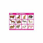 M-Stick Educational Chart 181 Pet Animals
