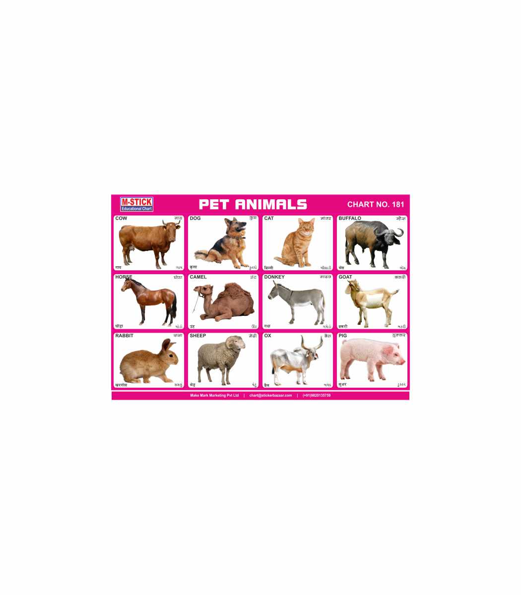 M-Stick Educational Chart 181 Pet Animals