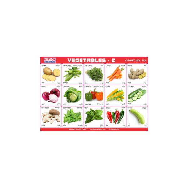 M-Stick Educational Chart 192 Vegetables-2