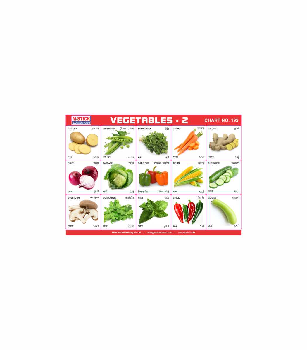 M-Stick Educational Chart 192 Vegetables-2