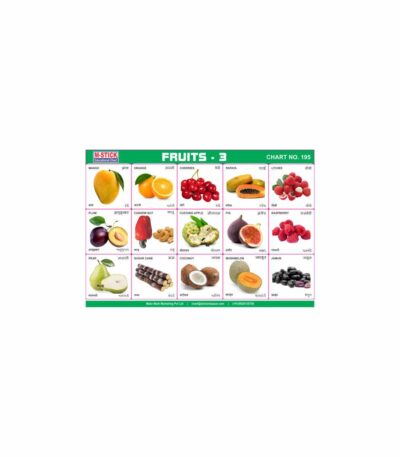 M-Stick Educational Chart 195 Fruits-3