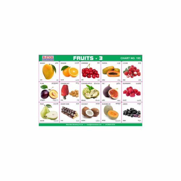 M-Stick Educational Chart 195 Fruits-3