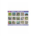 M-Stick Educational Chart 199 Birds & Their Nests