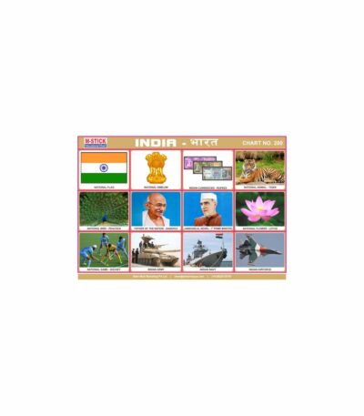 M-Stick Educational Chart 200India