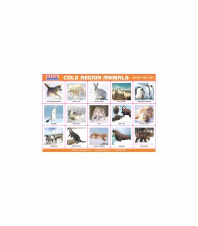M-Stick Educational Chart 201 Cold Region Animals