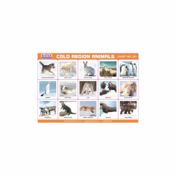M-Stick Educational Chart 201 Cold Region Animals